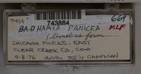 Image Associated With the Occurence